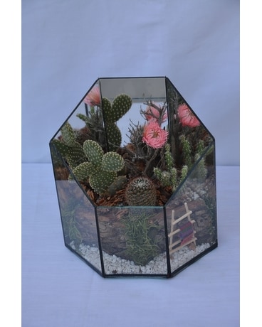 Large Cacti Terrarium Custom product