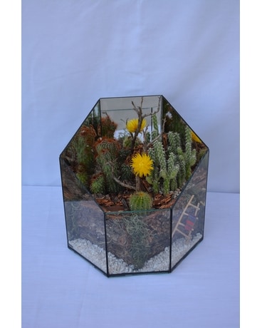 Small Cacti Terrarium Custom product