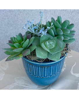 Standard size, 6 inches height and 6 inches wide.