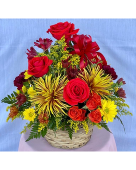 Standard size, 16 inches height and 17 inches wide.
