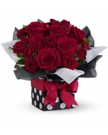 Teleflora's Fifth Avenue Present Dish Garden Plant