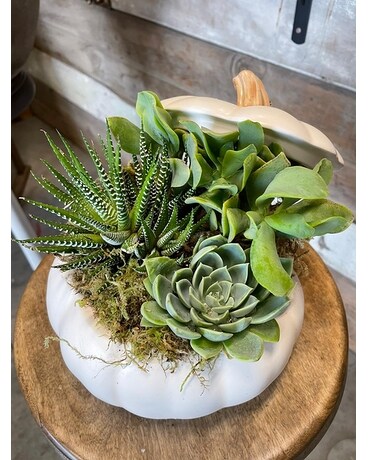 Succulent Pumpkin Flower Arrangement