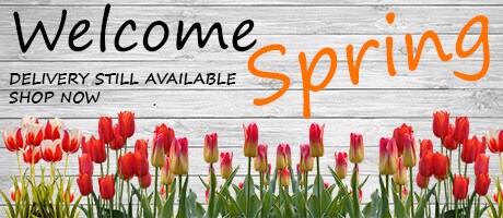 Beautiful Seasonal Flowers Banner