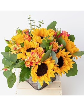 Bright and Happy Sunflowers
