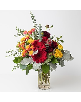 Bright and Fun Forever