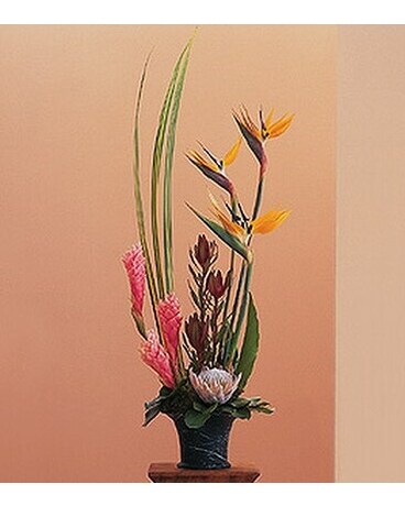 Tropical Paradise Arrangement