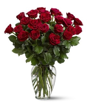 Two Dozen Red Roses Flower Arrangement