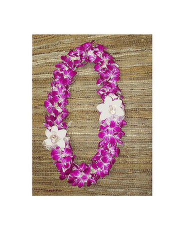 Orchid Combo Flower Arrangement
