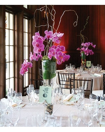 Butterfly Magic Flower Arrangement