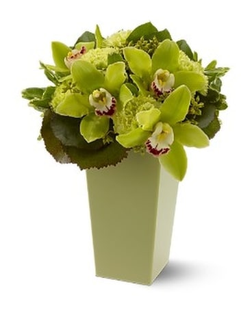 Green with Envy Flower Arrangement