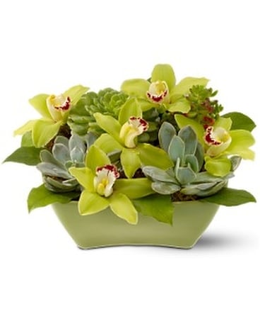 Wonderful World Flower Arrangement