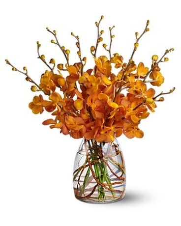 Orchid Embers Flower Arrangement