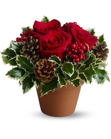 Holly Holidays Flower Arrangement