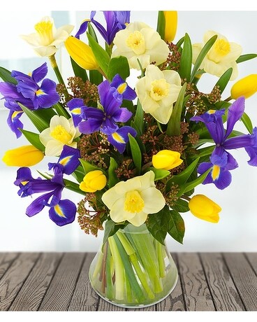 Yellow and Blue Flower Arrangement