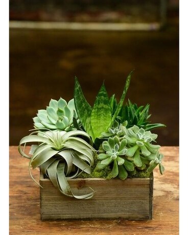 Succulent Box Flower Arrangement