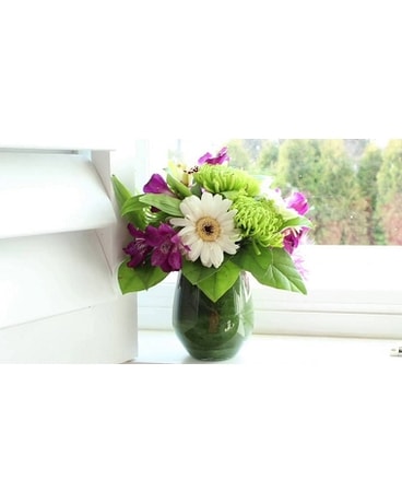 Daisy Blossom Flower Arrangement