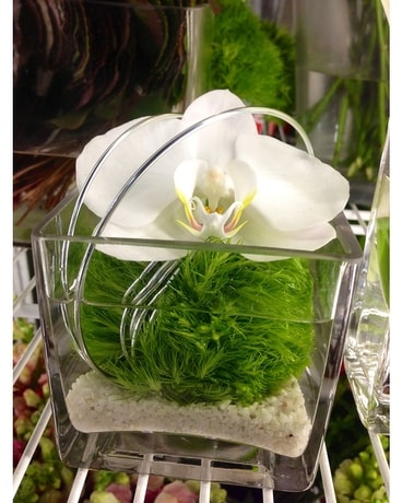 Butterfly Cube Flower Arrangement