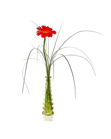Gerbera Vase Flower Arrangement
