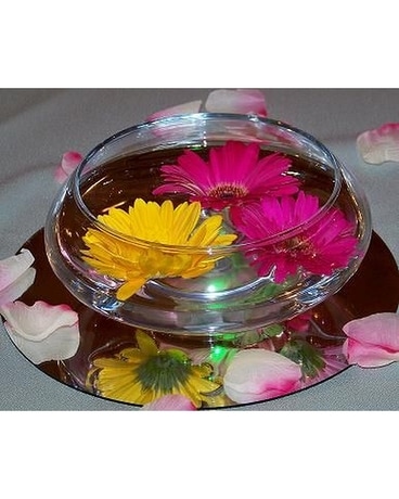 Floating Gerberas Flower Arrangement