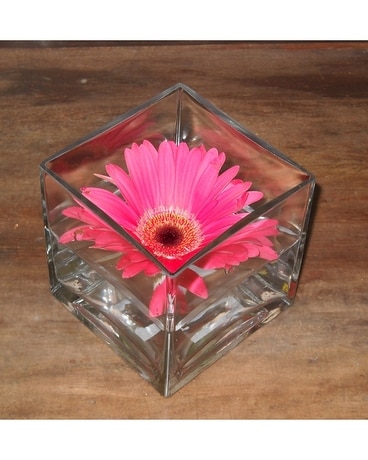 Gerbera Cube Flower Arrangement