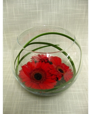 Triple Gerbera Bowl Flower Arrangement