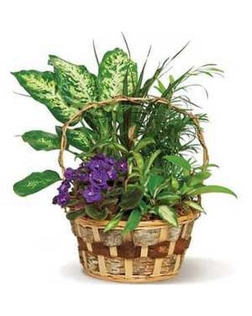 Garden Basket Flower Arrangement