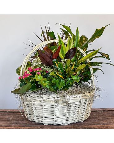 Medium Basket Garden Flower Arrangement