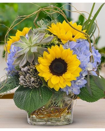 Sunny Succulents Flower Arrangement