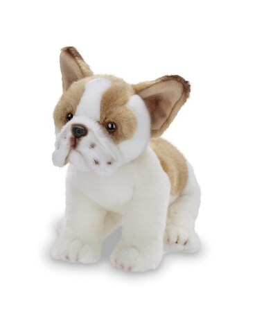 Frenchie Flower Arrangement