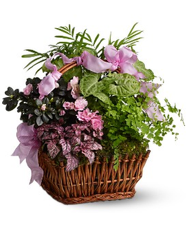 Campbell Florist - Flower Delivery by Citti's Florists