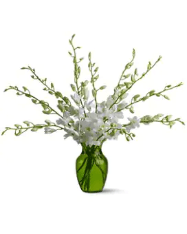 Serenity Orchids Flower Arrangement