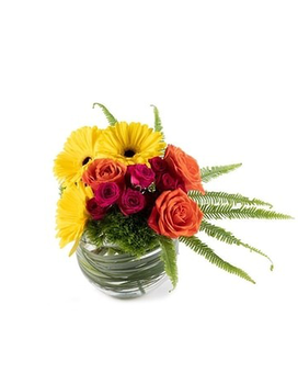 Gerbera Color Bowl Flower Arrangement
