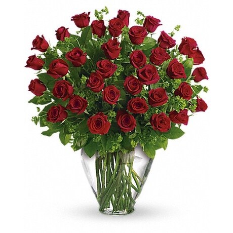 Three Dozen Roses Flower