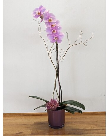 Custom Orchid Flower Arrangement