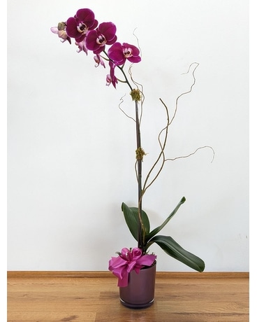 Custom Orchid Flower Arrangement