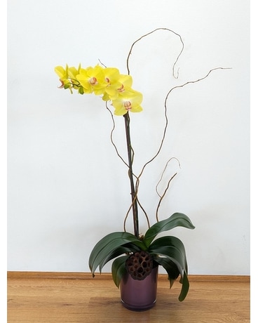 Custom Orchid Flower Arrangement