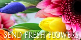 Flower Delivery to St. Clair Shores by Conner Park Florist