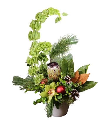 Winter Pop Flower Arrangement