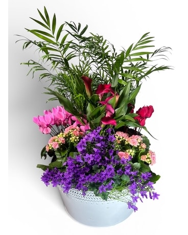Blooming Plants Delivery St. Clair Shores MI - Conner Park Florist