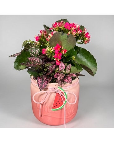 Blooming Plants Delivery St. Clair Shores MI - Conner Park Florist