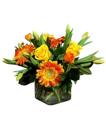 Pop of Sun Flower Arrangement