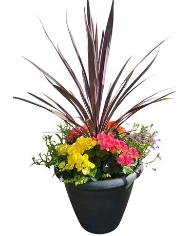 Blooming Plants Delivery St. Clair Shores MI - Conner Park Florist
