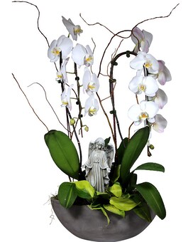 As Shown size,  inches height and  inches wide.