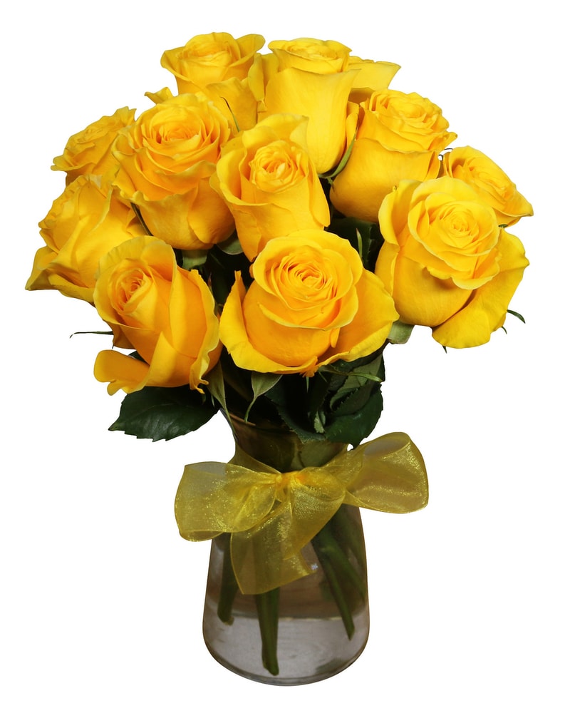 Burst of Yellow- 1dz roses in St. Clair Shores MI - Conner