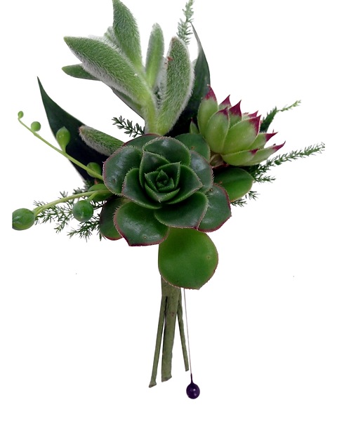 Succulent Boutonniere