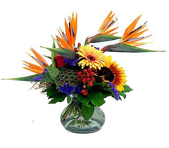 Flowers in Macomb Township from Conner Park Florist