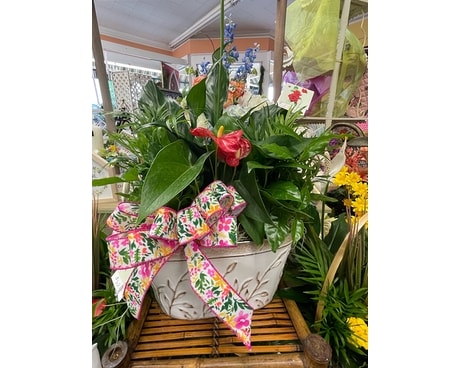 Sherwood's Blooming Window Gardens Flower Arrangement