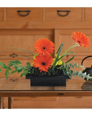 Teleflora's Zen Gerbera Bowl Flower Arrangement