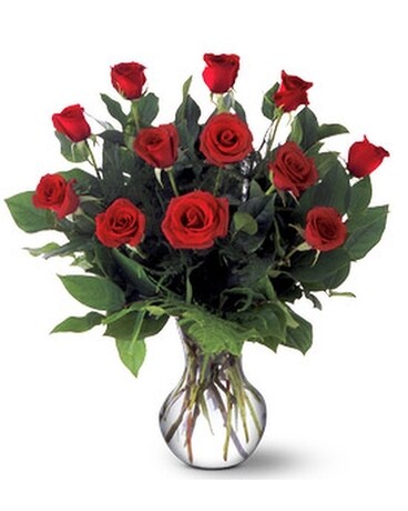 A Dozen Premium Red Roses in Waycross GA - Ed Sapp Floral Co