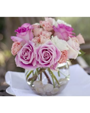 Teleflora's Roses on the Rocks Flower Arrangement